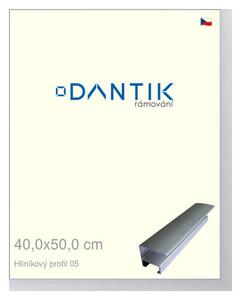 DANTIK rám na obraz 40x50 | ALU Stříbrná matná (Plexi Čiré)
