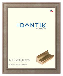DANTIK rám na obraz 40x50 | TOOTH malá stříbrná (Plexi Čiré)
