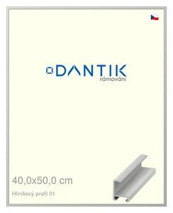 DANTIK rám na obraz 40x50 | ALU Stříbrná matná (Plexi Čiré)
