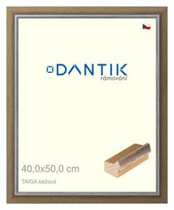 DANTIK rám na obraz 40x50 | TAIGA béžová (Plexi Čiré)