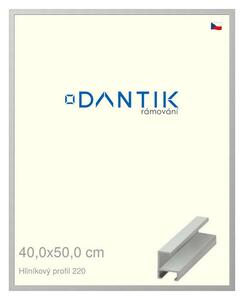 DANTIK rám na obraz 40x50 | ALU Stříbrná matná (Plexi Čiré)