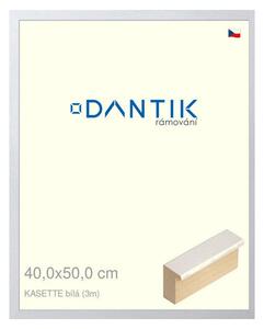 DANTIK rám na obraz 40x50 | KASSETTE bílá (Plexi Čiré)