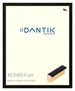 DANTIK rám na obraz 40x50 | Metalli oidati černozlatá (Plexi Čiré)