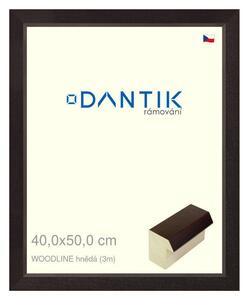 DANTIK rám na obraz 40x50 | WOODLINE hnědá (Plexi Čiré)