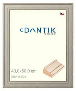 DANTIK rám na obraz 40x50 | STEP bílá (Plexi Čiré)