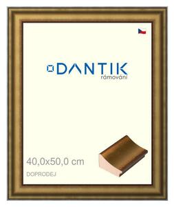 DANTIK rám na obraz 40x50 | Doprodej | METAL AU prohlá velká (Plexi Čiré)