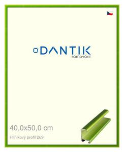 DANTIK rám na obraz 40x50 | ALU Zelená Smaragd broušená (Plexi Čiré)