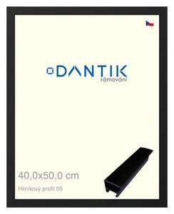 DANTIK rám na obraz 40x50 | ALU Černá matná (Plexi Čiré)