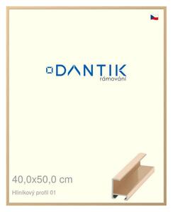 DANTIK rám na obraz 40x50 | ALU Zlatá lesklá (Plexi Čiré)
