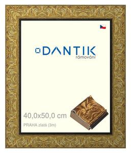DANTIK rám na obraz 40x50 | PRAHA zlatá (Plexi Čiré)