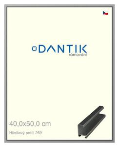 DANTIK rám na obraz 40x50 | ALU Šedá leská (Plexi Čiré)