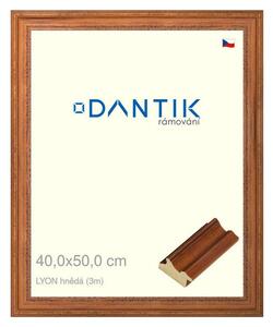 DANTIK rám na obraz 40x50 | LYON hnědá (Plexi Čiré)