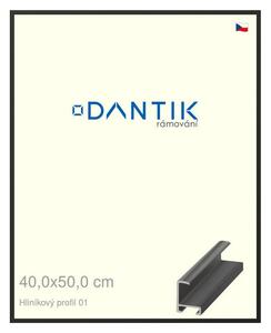 DANTIK rám na obraz 40x50 | ALU Černá matná (Plexi Čiré)