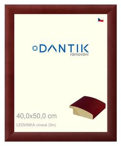 DANTIK rám na obraz 40x50 | LEDVINKA vínová (Plexi Čiré)