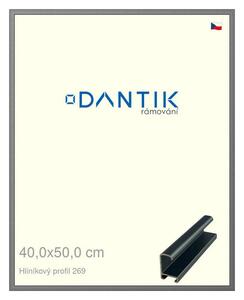 DANTIK rám na obraz 40x50 | ALU Platina matná (Plexi Čiré)