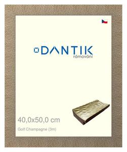 DANTIK rám na obraz 40x50 | Golf champagne (Plexi Čiré)