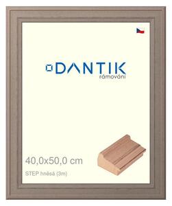 DANTIK rám na obraz 40x50 | STEP hnědá (Plexi Čiré)
