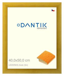 DANTIK rám na obraz 40x50 | LEDVINKA žlutá (Plexi Čiré)