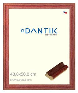 DANTIK rám na obraz 40x50 | LYON červená (Plexi Čiré)