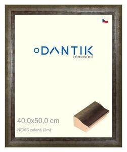DANTIK rám na obraz 40x50 | NEVISzelená (Plexi Čiré)
