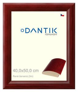 DANTIK rám na obraz 40x50 | René červená (Plexi Čiré)