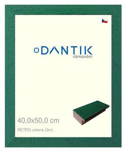 DANTIK rám na obraz 40x50 | RETRO zelená (Plexi Čiré)
