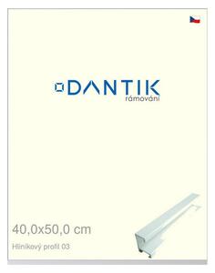 DANTIK rám na obraz 40x50 | ALU Bílá matná (Plexi Čiré)