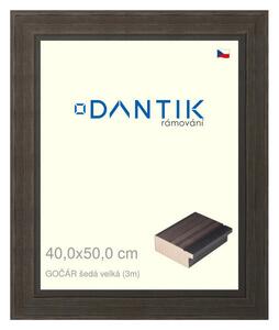 DANTIK rám na obraz 40x50 | Gočár šedá velká (Plexi Čiré)