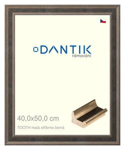 DANTIK rám na obraz 40x50 | TOOTH malá stříbrno černá (Plexi Čiré)