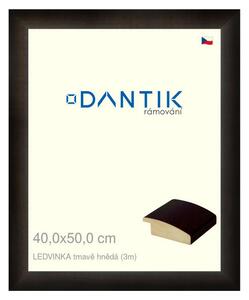 DANTIK rám na obraz 40x50 | LEDVINKA tmavě hnědá (Plexi Čiré)