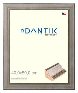 DANTIK rám na obraz 40x50 | Museo stříbrná (Plexi Čiré)