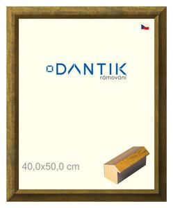 DANTIK rám na obraz 40x50 | Forgia Gold (Plexi Čiré)