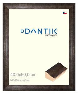 DANTIK rám na obraz 40x50 | NEVIS šedá (Plexi Čiré)