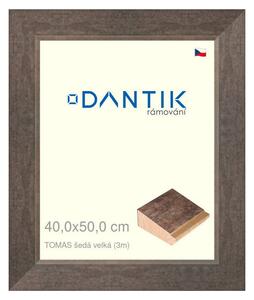 DANTIK rám na obraz 40x50 | TOMAS šedá velká (Plexi Čiré)