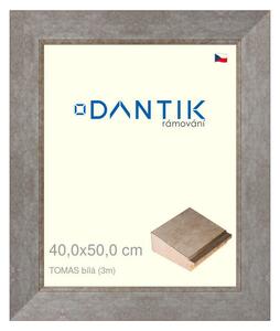 DANTIK rám na obraz 40x50 | TOMAS bílá velká (Plexi Čiré)
