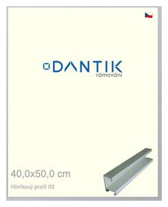 DANTIK rám na obraz 40x50 | ALU Stříbrná matná (Plexi Čiré)