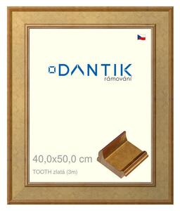 DANTIK rám na obraz 40x50 | TOOTH zlatá (Plexi Čiré)