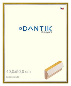 DANTIK rám na obraz 40x50 | EVOQUE žlutá (Plexi Čiré)