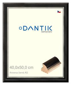 DANTIK rám na obraz 40x50 | ANIVERSA černá AG (Plexi Čiré)