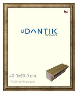 DANTIK rám na obraz 40x50 | TRITON bílý bronz (Plexi Čiré)