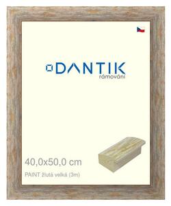 DANTIK rám na obraz 40x50 | PAINT žlutá velká (Plexi Čiré)