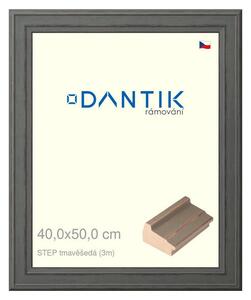 DANTIK rám na obraz 40x50 | STEP tmavěšedá (Plexi Čiré)