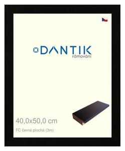DANTIK rám na obraz 40x50 | FC černá plochá (Plexi Čiré)