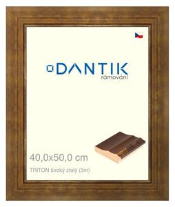 DANTIK rám na obraz 40x50 | TRITON široký zlatý (Plexi Čiré)