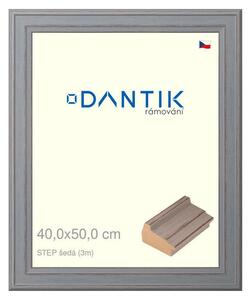 DANTIK rám na obraz 40x50 | STEP šedá (Plexi Čiré)