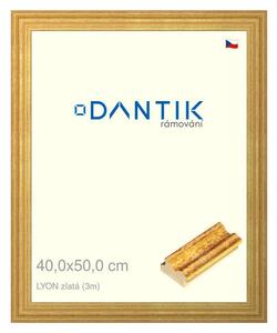 DANTIK rám na obraz 40x50 | LYON zlatá (Plexi Čiré)