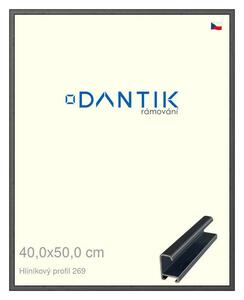 DANTIK rám na obraz 40x50 | ALU Šedá Oplal broušená (Plexi Čiré)