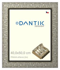 DANTIK rám na obraz 40x50 | PRAHA stříbrná (Plexi Čiré)