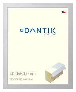 DANTIK rám na obraz 40x50 | WOODLINE bílá (Plexi Čiré)