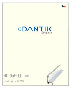 DANTIK rám na obraz 40x50 | ALU Bílá matná (Plexi Čiré)